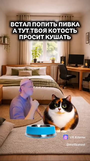 Котость