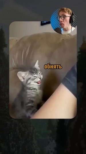 ВИРУСНЫЕ_ВИДЕО_подборка_смешных_животных_😅