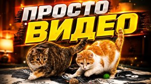 Просто видео