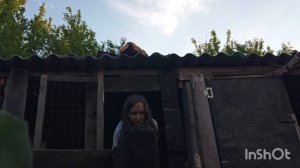 🐥обустройка домика 1 часть