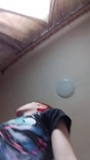 Играем в чикен ган
