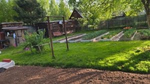 Доброе Подмосковное утро.
16 мая, суббота.