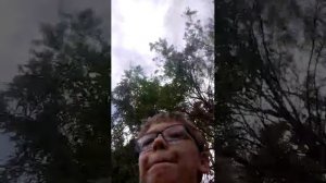 Развлечения на природе
