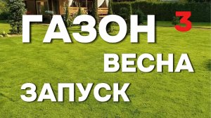 ПРОДОЛЖЕНИЕ 3. Аммиачная селитра для газона: результат через 3–5 дней