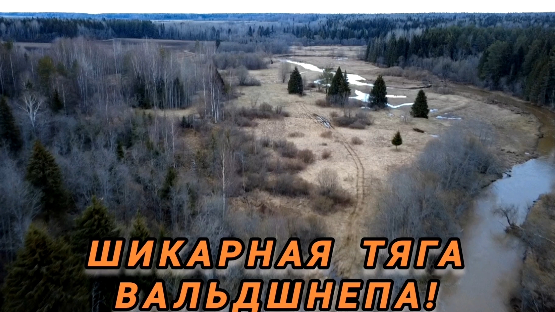 ОХОТА НА ВЕСЕННЕЙ ТЯГЕ ВАЛЬДШНЕПА! ДОБЫЛ НОРМУ!