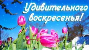 С ДОБРЫМ УТРОМ