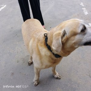 1.000 подписчиков,я вас люблю!!!