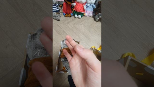 мой басик Миша то что котобасики не обращайтесь внимание