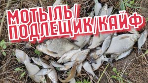 Подлещик на поплавок