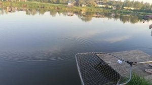 VID_20260516_220211_470