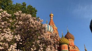 Путь в Мегакосмос
