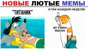 Лютые шортсы. В «Ну, погоди!» было всё