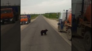 Кто ходит в гости по утрам, поступает мудро.