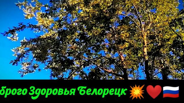Поющий автовокзал города трудовой доблести и славы Белорецк.mp4