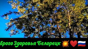 Поющий автовокзал города трудовой доблести и славы Белорецк.mp4