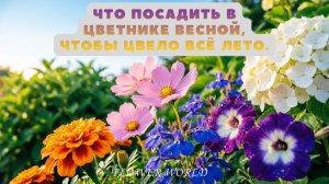Что посадить в цветнике весной, чтобы цвело всё лето.💐