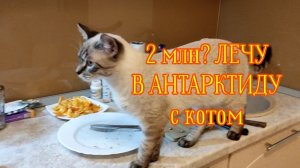 ВЕЧЕРНЯЯ УБОРКА, НО ВСЕ СМОТРЯТ НА КРАН. СТАВКИ В ОПИСАНИИ ⬇️ #влог #уборка #дом #кот #жиза #ставки