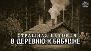 СТРАШНАЯ ИСТОРИЯ. В деревню к бабушке.