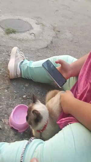 эфир