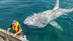 Самые невероятные морские происшествия, снятые на видео. Лучшая подборка