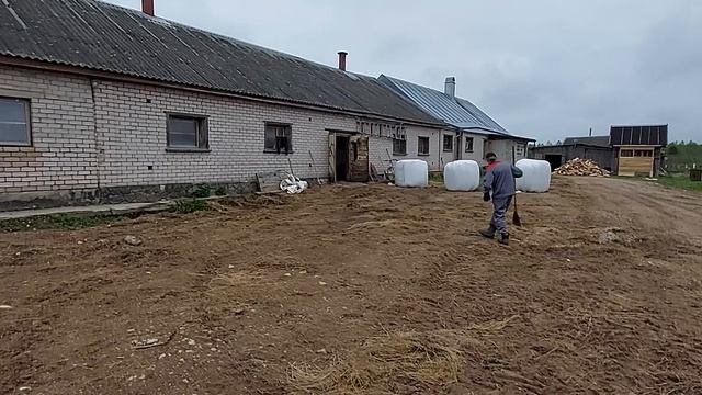 Выгон скота 7 мая