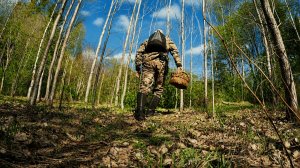 Грибник зашел в МОЛОДЫЕ осины и ОБАЛДЕЛ! Такой ОХОТЫ не ожидал! Грибы и Лес Сказочная Карелия