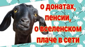 Какая пенсия у меня, сына и мамы? Как я отношусь к донатам? Работа Олега.