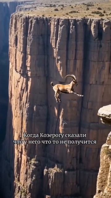 16-05-2026 смотреть онлайн