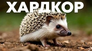 Майнкрафт, но это хардкор