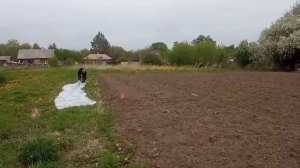 РАБОТАЕМ в ОГОРОДЕ.Натягиваем пленку под АРБУЗЫ//Сельская жизнь//