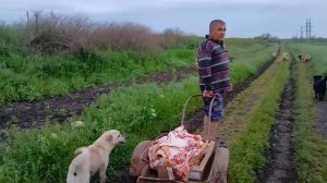 Девушка ПРИВЕЗЛА – Свеженького ЦЕЛУЮ ТАЧКУ МУЖ ТАЩИТ.