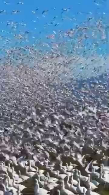 Красота