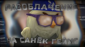 РАЗОБЛАЧЕНИЕ НА САНЁК ГЕЙМС! - ПОФИГИЗМ! И ДОВЕДЕНИЯ ДО СУИ##ДА! ЧИКЕН ГАН! Chicken gun/Чикен ган