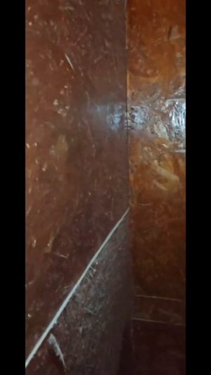 Одна завистливая змея назвала эти вольеры тюрьмой