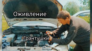 Год простоя ,продолжаю оживлять Ладушку,Грантушку.