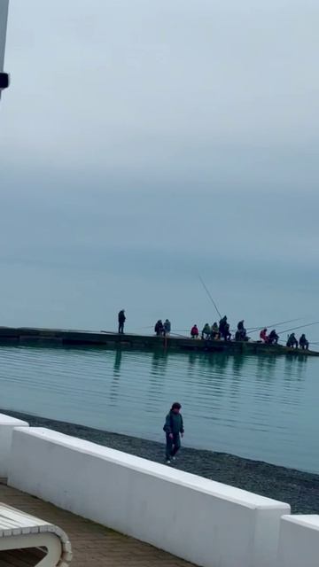 Сочи море берег чайки прогулка по набережной