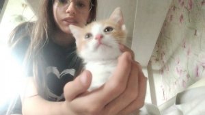 новый челен семьи