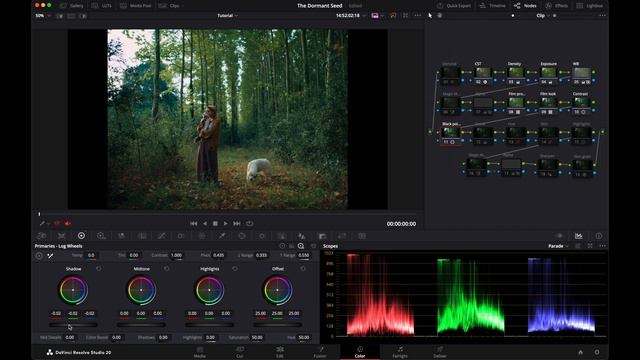 Life's_no_1_fix_｜_Short_film_+_grading_tutorial_&_free_Film_Profile