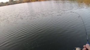 Мормышинг.Согнуть gammarus 01-0.6