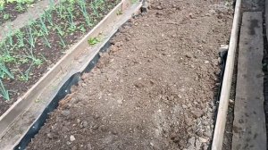 17.05.26. Накормила свою банду, прошлась по огороду. Мои покупки на ВБ.