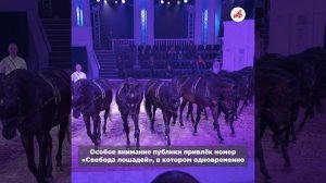 Джигитовка, танцы и 24 лошади: на ВДНХ показали грандиозный конный спектакль