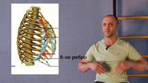 организация торса по методу Фельденкрайза #1