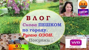 ВЛОГ.Снова пешком по городу.Ругаю ОЗОН.Покупки из ВБ и Светофора.