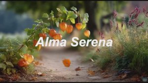 🎵 Un Momento para Mí 💙 Música para la Paz Interio #41