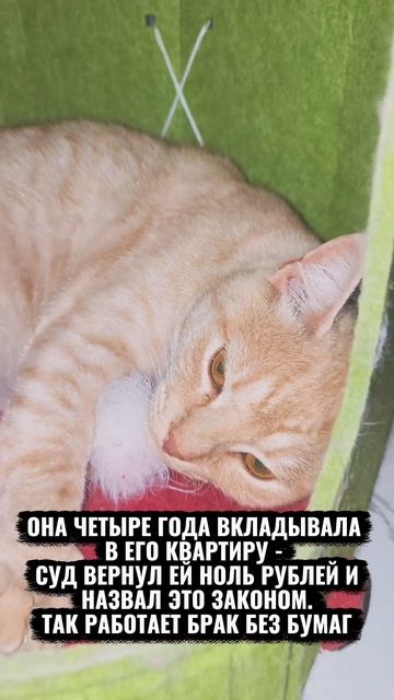 ОНА ЧЕТЫРЕ ГОДА ВКЛАДЫВАЛА В ЕГО КВАРТИРУ - СУД ВЕРНУЛ ЕЙ НОЛЬ РУБЛЕЙ И НАЗВАЛ ЭТО ЗАКОНОМ. ТАК РАБО
