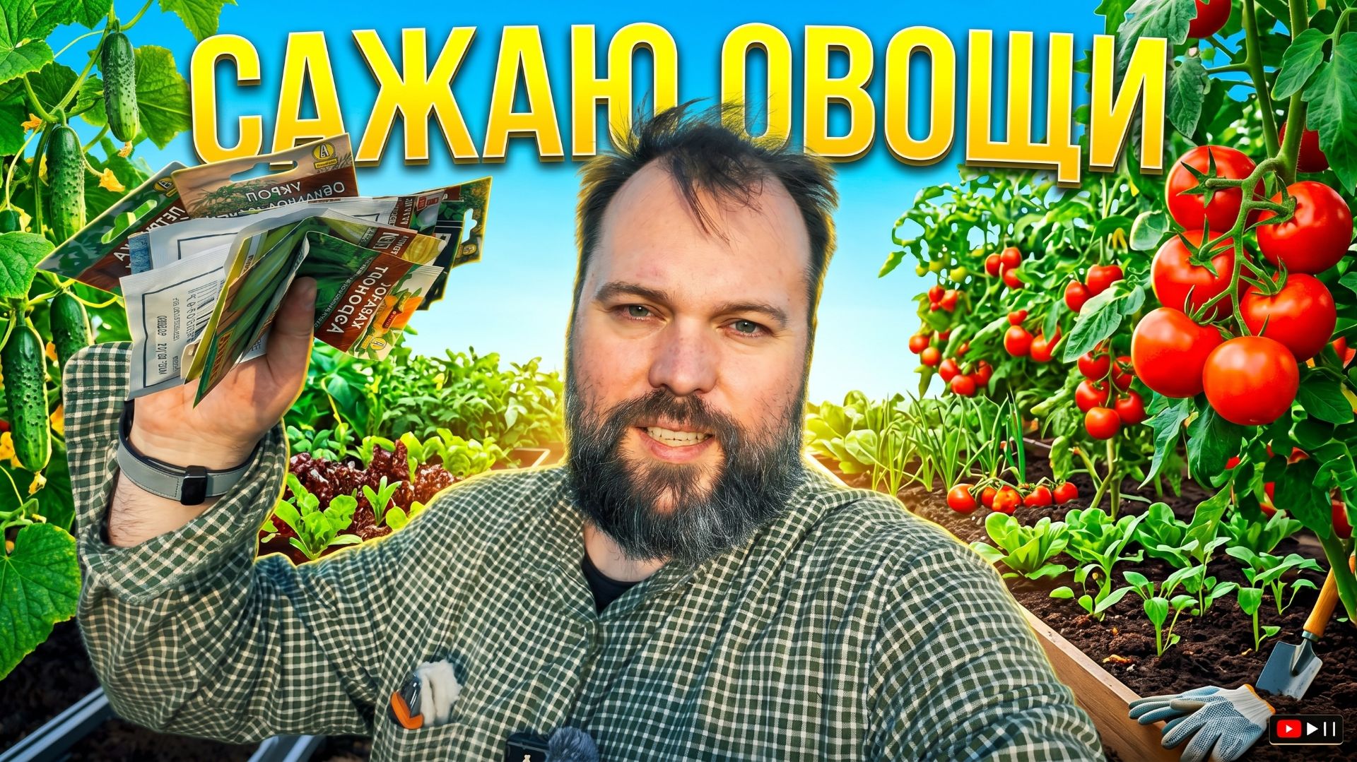 Первый огород на даче: огурцы, помидоры и капельный полив