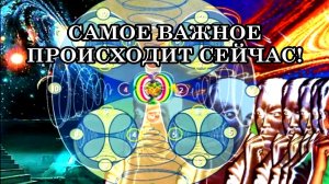 САМОЕ ВАЖНОЕ ПРОИСХОДИТ СЕЙЧАС!