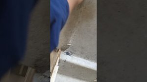 спасли людей от мучения в квесте бункер