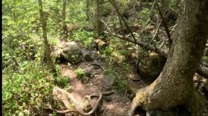 забег на горе Фалаза 16.05.26г. дистанция «Медвежка»
