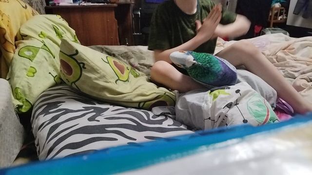Пою трэки блогеров🤣😂 смотреть онлайн